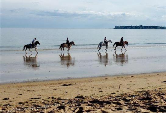 Esprit Cottage "4 Etoiles" Sables D'Or Les Pins Plurien Buitenkant foto